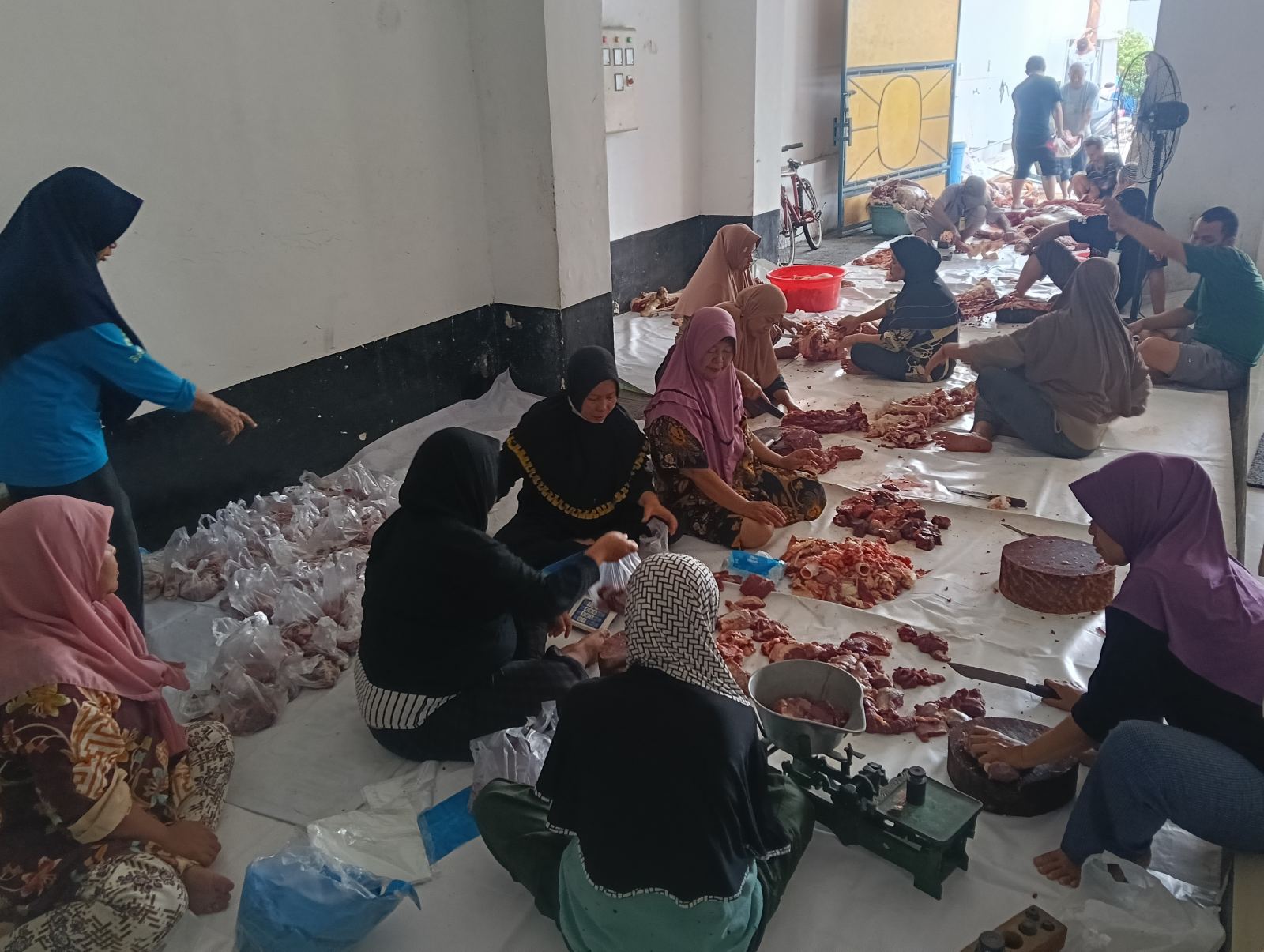 Foto Galeri
